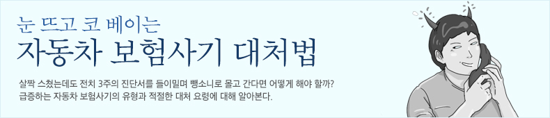 자동차 보험사기 대처법    