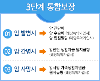 3단계 통합보장, 01.암 발병시, 02.암 간병시, 03.암 사망시
