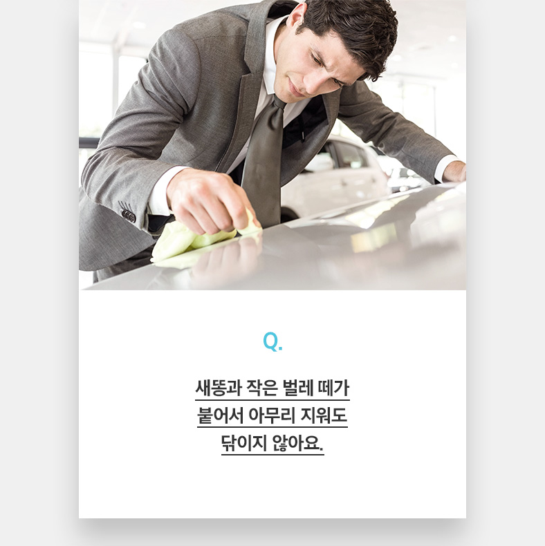 Q. 새똥과 작은 벌레 떼가 붙어서 아무리 지워도 닦이지 않아요.