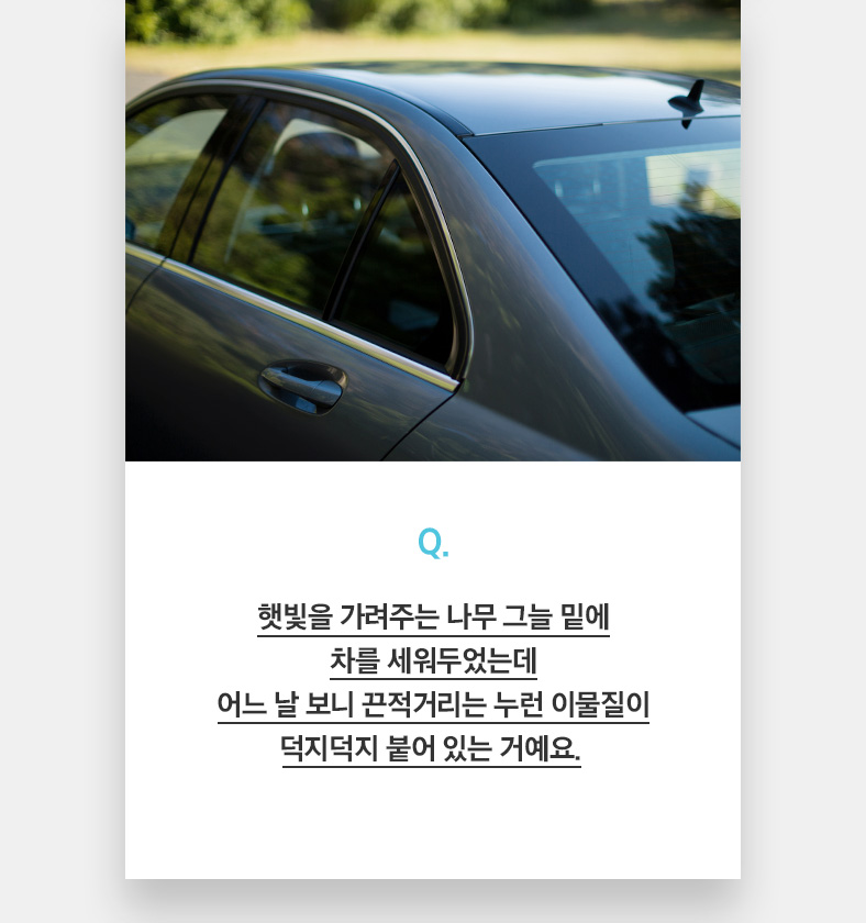 Q. 햇빛을 가려주는 나무 그늘 밑에 차를 세워두었는데 어느 날 보니 끈적거리는 누런 이물질이 덕지덕지 붙어 있는 거예요. 