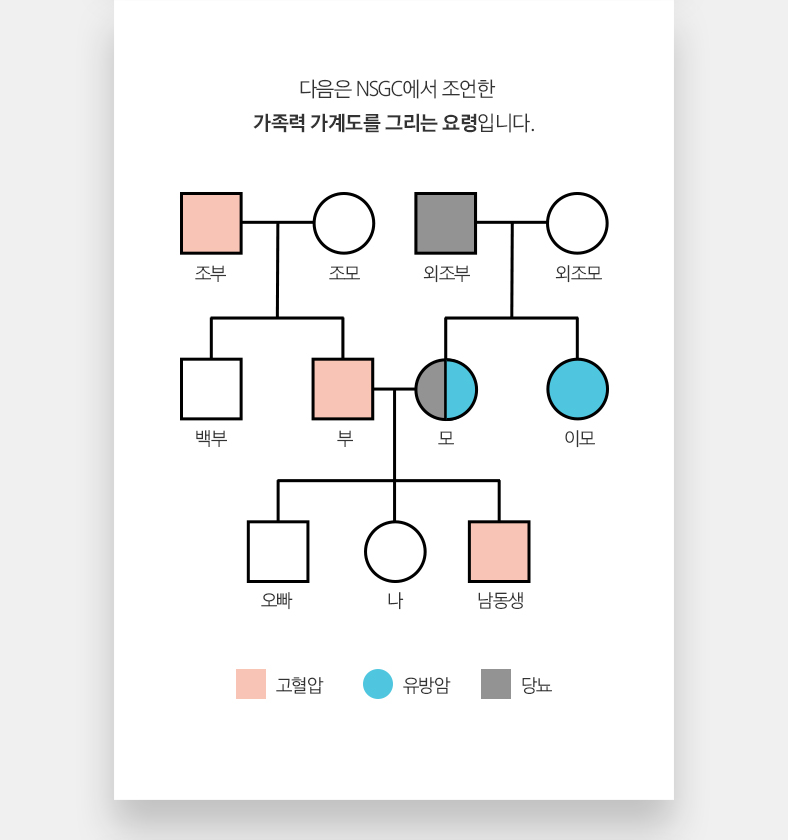 다음은 NSGC에서 조언한 가족력 가계도를 그리는 요령입니다.