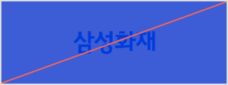 오용 사례 (Incorrect Usage) CI의 유사한 색상의 배경을 적용한 경우