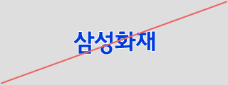 오용 사례 (Incorrect Usage) CI에 테두리를 적용한 경우