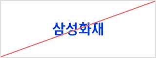 오용 사례 (Incorrect Usage) CI의 서체를 변경한 경우