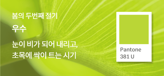 SFMI Pantone 381 U 보조색상 이미지