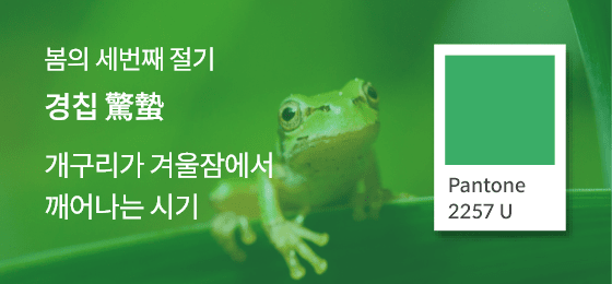 SFMI Pantone 2257 U 보조색상 이미지