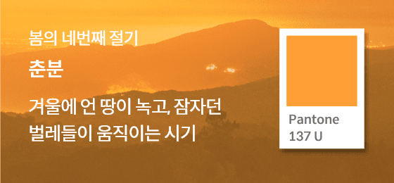 SFMI Pantone 137 U 보조색상 이미지