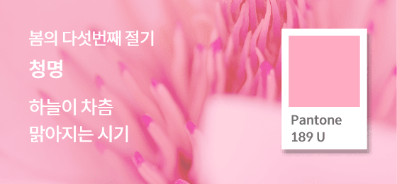 SFMI Pantone 189 U 보조색상 이미지