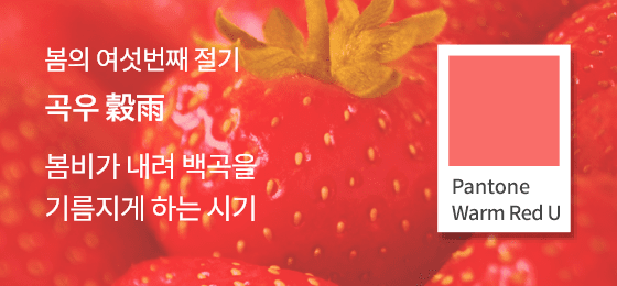 SFMI Pantone Warm Red U 보조색상 이미지