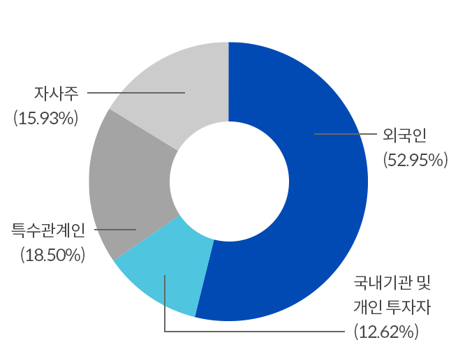 외국인(52.95%), 특수관계인(18.50%), 국내기관 및 개인 투자자(12.62%), 자사주(15.93%)