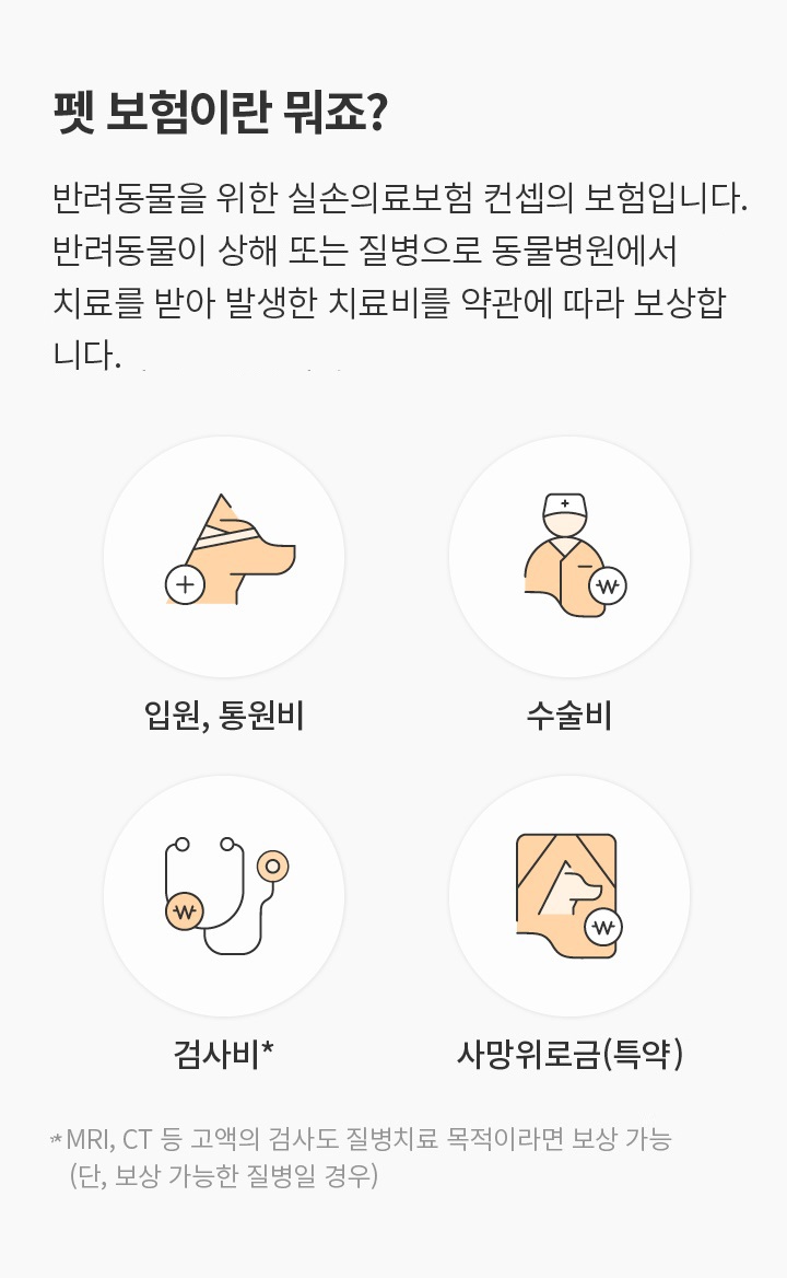 펫 보험이란 뭐죠?