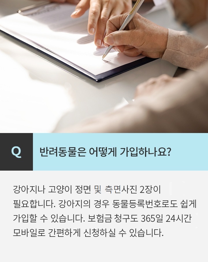 Q 반려동물은 어떻게 가입하나요? 강아지나 고양이 전신이 나온 정면 사진 1장이 필요합니다. 강아지의 경우 동물등록번호로도 쉽게 가입할 수 있습니다.b보험금을 청구하고 계약을 연장하는 것도 모바일로 간편하게b가능합니다.