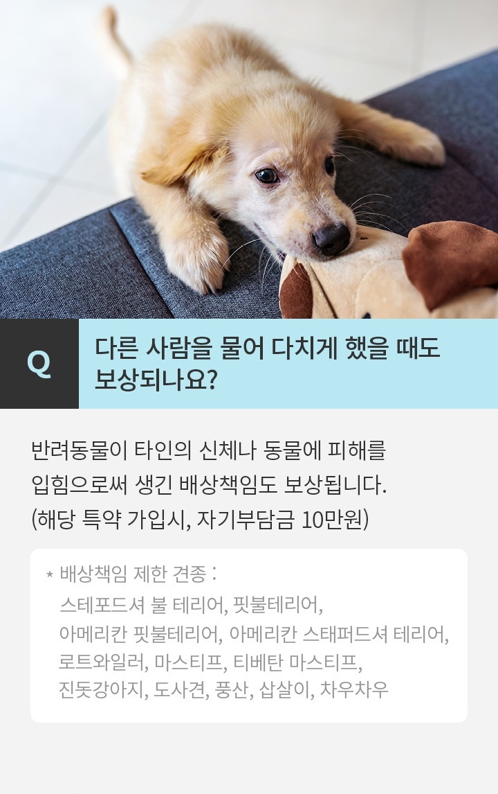 Q 다른 사람을 물어 다치게 했을 때도 보상되나요? 반려동물이 타인의 신체나 동물에 피해를 입힘으로써 생긴 배상 책임도 보상*됩니다.(해당 특약 가입시, 자기부담금 10만원)