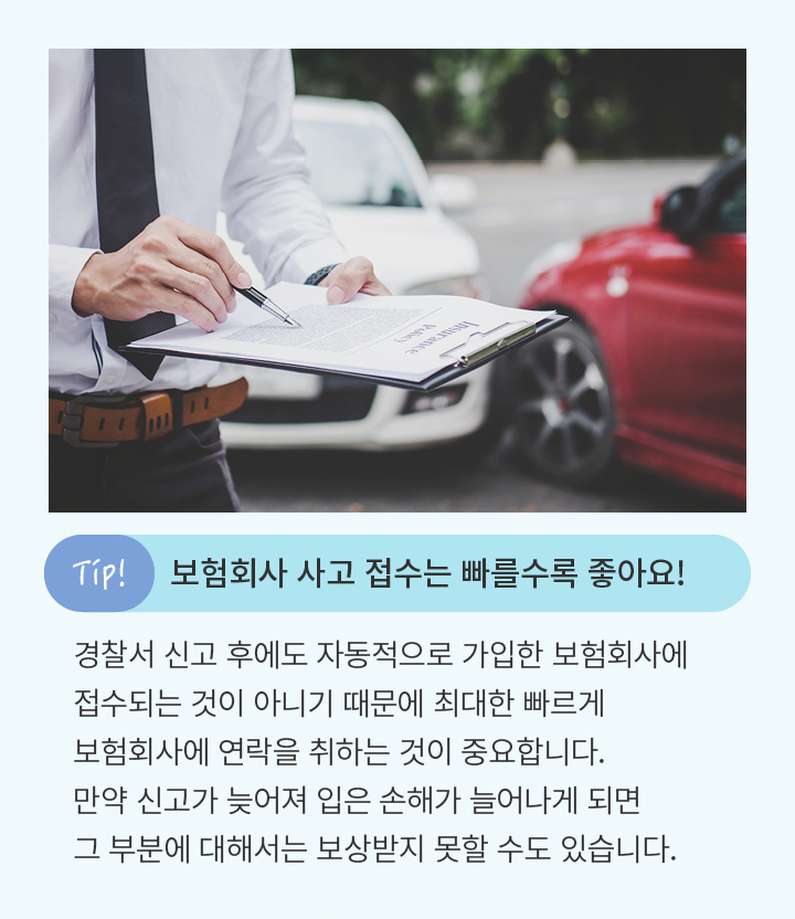 TIP. 보험회사 사고 접수는 빠를수록 좋아요!