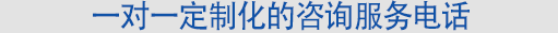一对一定制化的咨询服务电话
