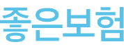 좋은보험 (브랜드 애센스)