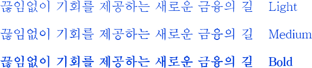 끊임없이 기회를 제공하는 새로운 금융의 길이란 문장을 Light, Medium, Bold 단계를 삼성명조 서체로 표현