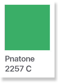 SFMI Pantone 2257 U 보조색상 이미지