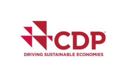CDP 로고
