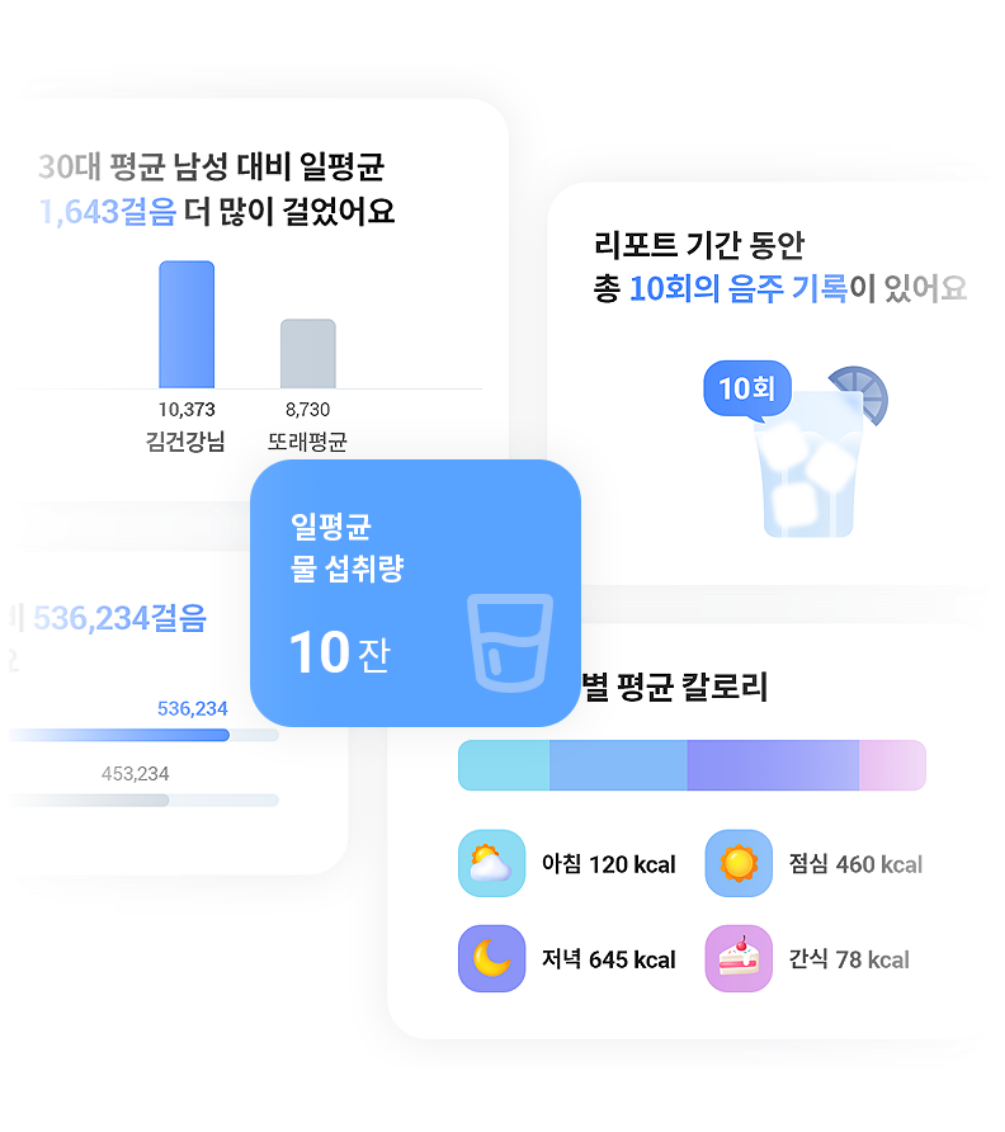 분석 리포트 예시
