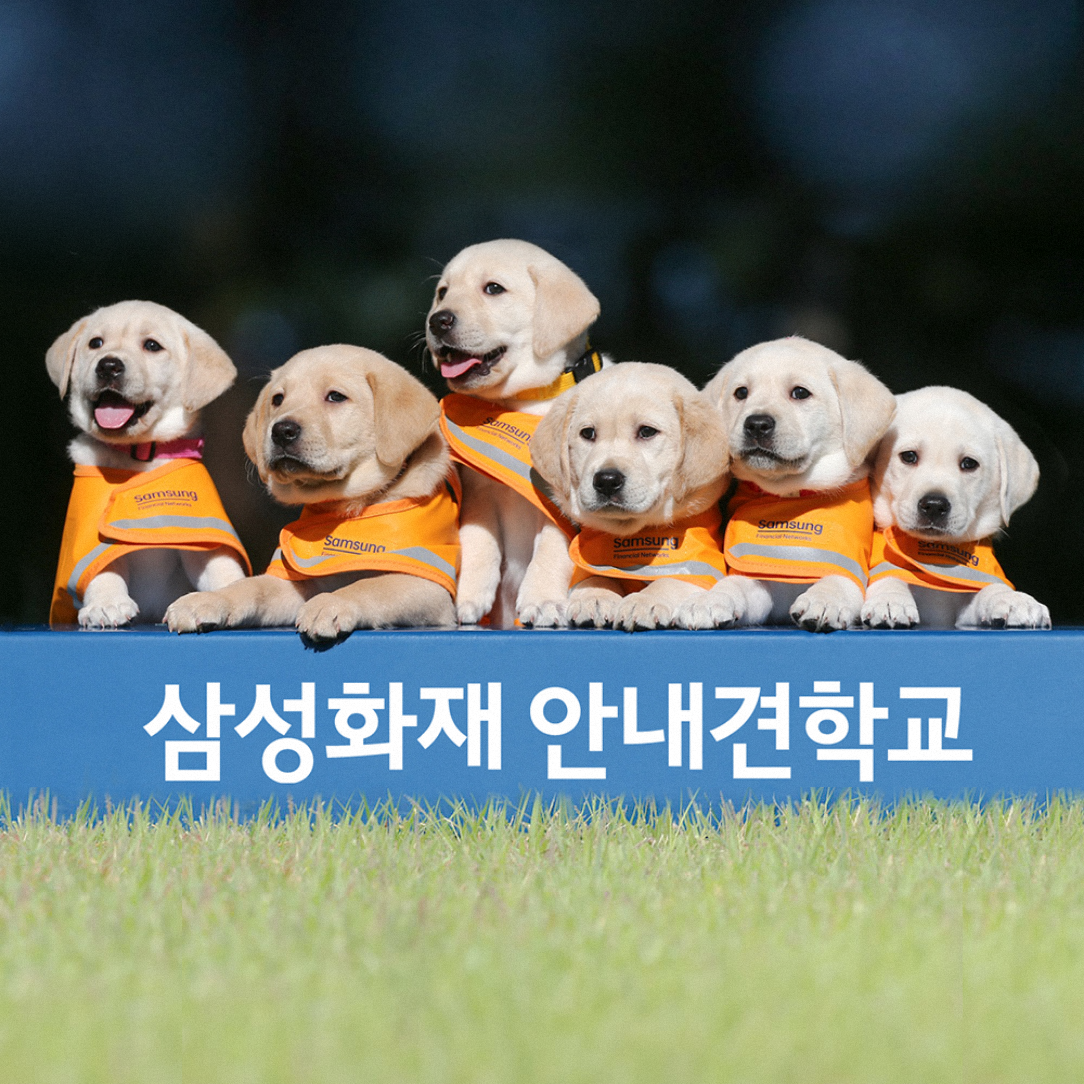 시각장애인의 안전한 보행을 위한 안내견 지원사업